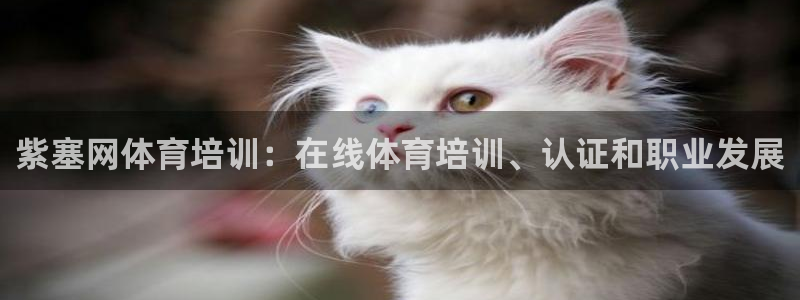 富联娱乐测速地址是什么
