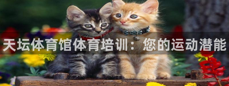 富联股份股价