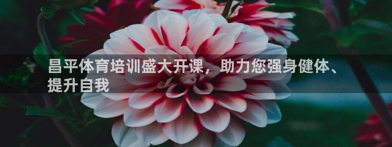昌平体育培训盛大开课，助力您强身健体、
提升自我