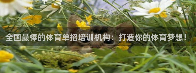 富联地产怎么样知乎：全国最棒的体育单招培训机构：打造