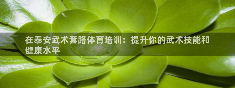 富联娱乐客服微信：在泰安武术套路体育培训：提升你的武