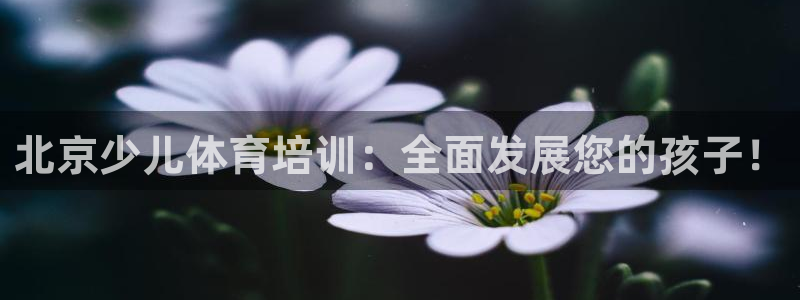富联平台赢钱不给退怎么办：北京少儿体育培训：全面发展