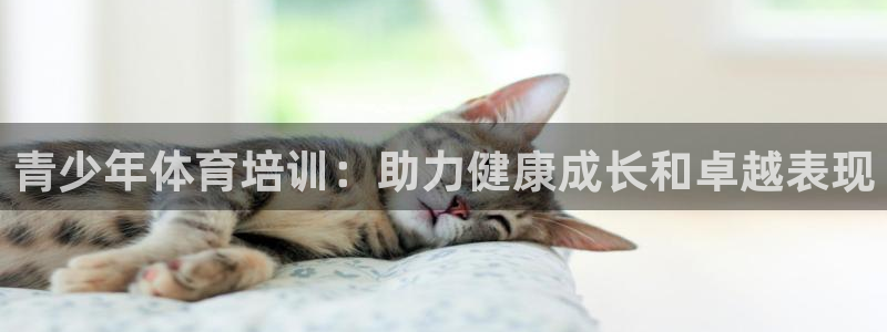 富联娱乐优 411o31 富联：青少年体育培训：助力