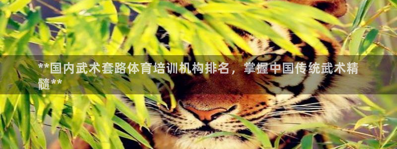 富联图文：**国内武术套路体育培训机构排名，掌握中国