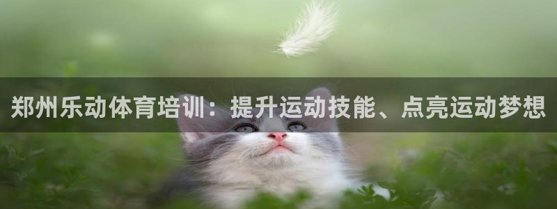 富联娱乐负责人：郑州乐动体育培训：提升运动技能、点亮