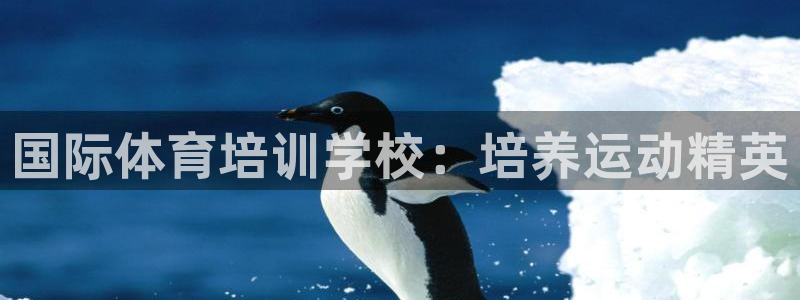 股票富联申购今天多少钱