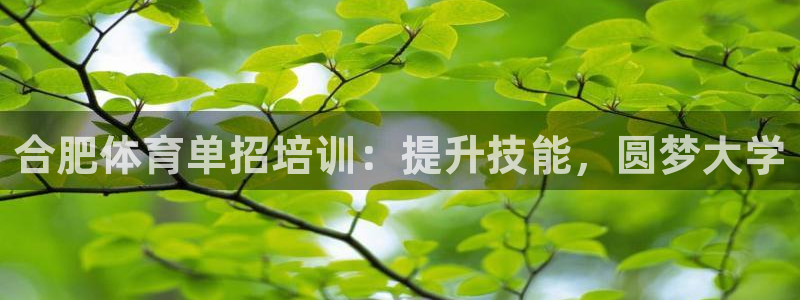 富联平台挂机怎么操作：合肥体育单招培训：提升技能，圆