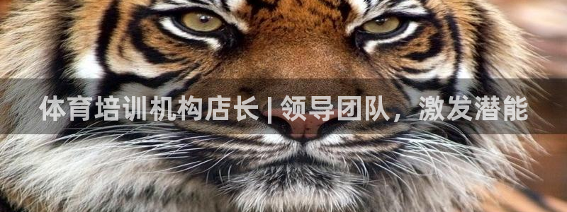 富联官网代理系列：体育培训机构店长 | 领导团队，激