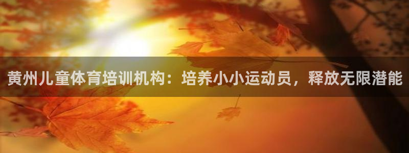 富联是什么平台：黄州儿童体育培训机构：培养小小运动员
