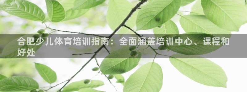 富联娱乐马 411O31 娱乐：合肥少儿体育培训指南
