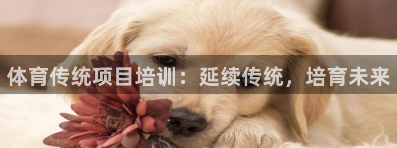 富联娱乐平台开户流程视频
