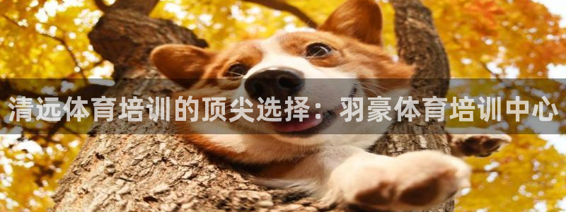 富联娱乐总代理是谁