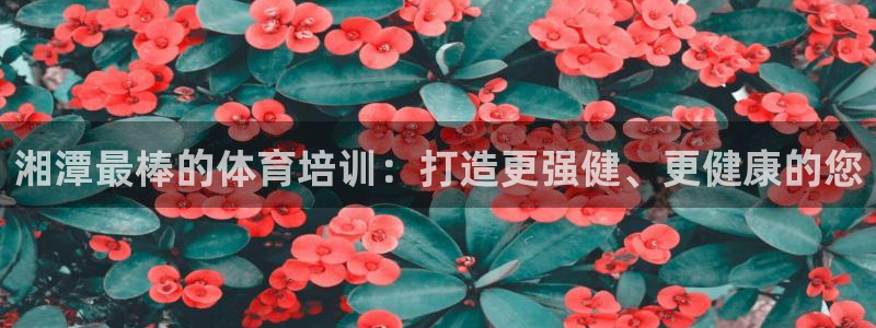 富联娱乐平台开户流程视频：湘潭最棒的体育培训：打造更