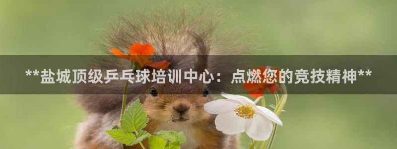 富联娱乐会员账号怎么注销：**盐城顶级乒乓球培训中心