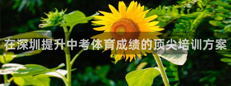 富联公寓：在深圳提升中考体育成绩的顶尖培训方案