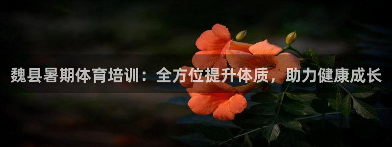 富联娱乐在线注册链接怎么弄的：魏县暑期体育培训：全方