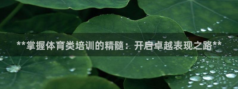 富联官方网站入口查询网址：**掌握体育类培训的精髓：