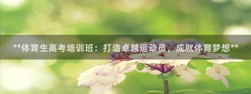 富联申购上市价格预测表