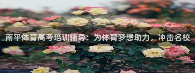 富联娱乐会员账号是什么：南平体育高考培训辅导：为体育