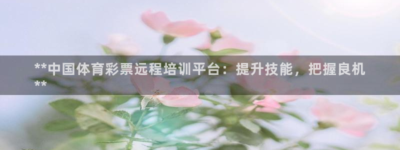 富联娱乐正规吗：**中国体育彩票远程培训平台：提升技