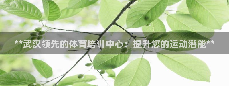 富联娱乐丁6.7.5.1.3.8：**武汉领先的体育