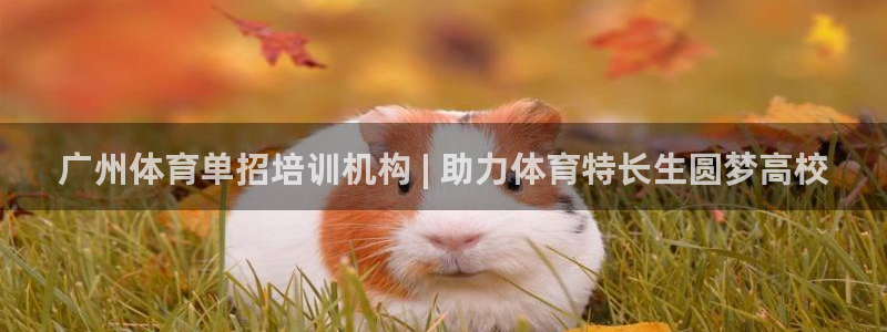 富联平台人 5O6917 富联：广州体育单招培训机构