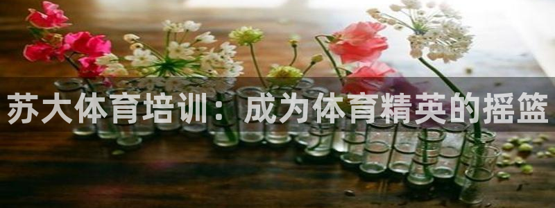 富联娱乐会员怎么取消：苏大体育培训：成为体育精英的摇