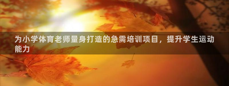 富联平台上级下级是什么意思：为小学体育老师量身打造的