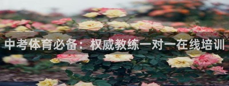 富联官网注册流程视频：中考体育必备：权威教练一对一在