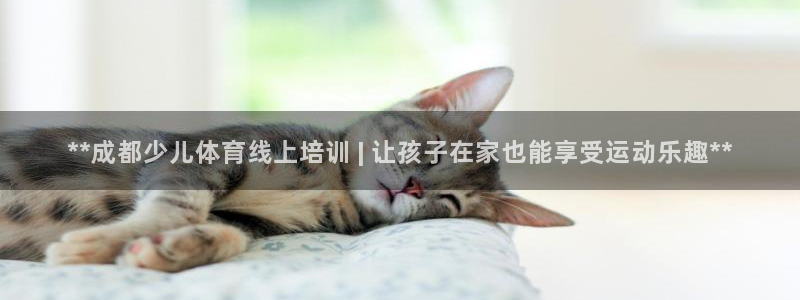 富联娱乐平台开户流程视频：**成都少儿体育线上培训 