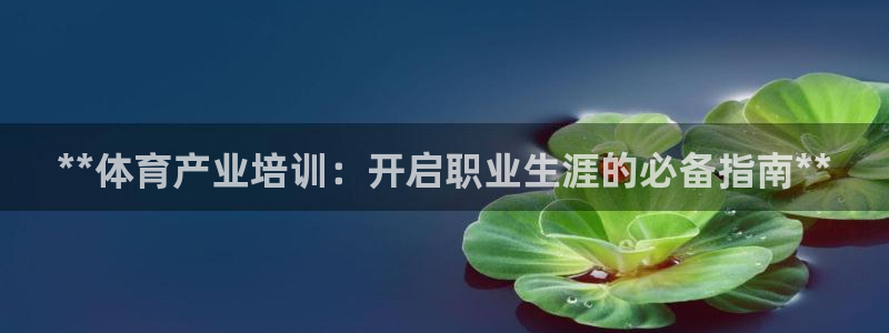 富联平台代理注册要钱吗：**体育产业培训：开启职业生