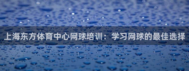 富联是什么软件：上海东方体育中心网球培训：学习网球的