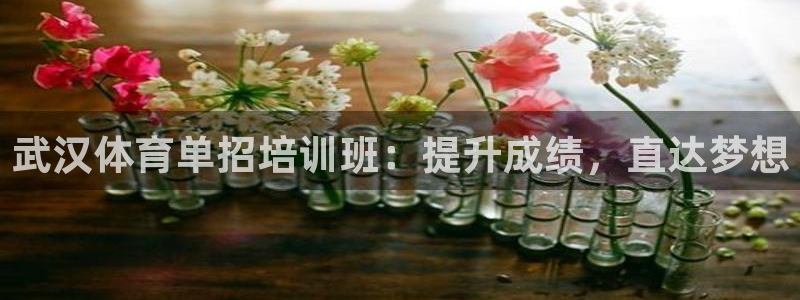 富联平台赢钱不给退怎么办理：武汉体育单招培训班：提升