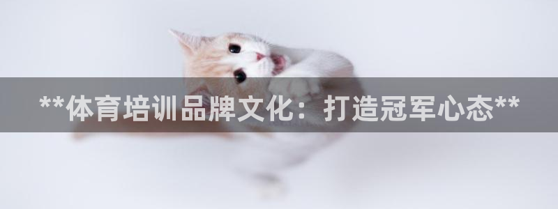 共富联盟店是不是真的：**体育培训品牌文化：打造冠军