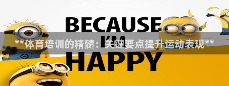 富联平台总代：**体育培训的精髓：关键要点提升运动表