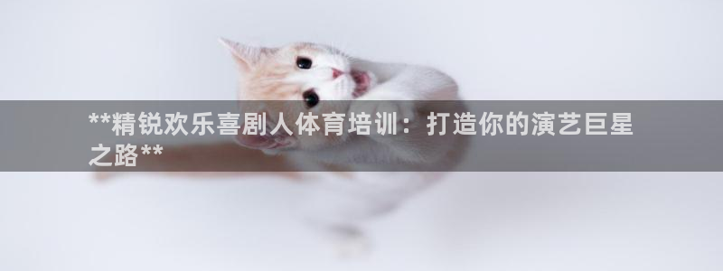 富联商厦：**精锐欢乐喜剧人体育培训：打造你的演艺巨