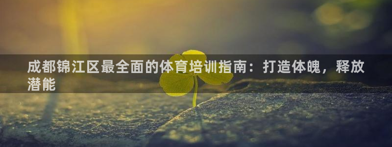 江西富联地产：成都锦江区最全面的体育培训指南：打造体