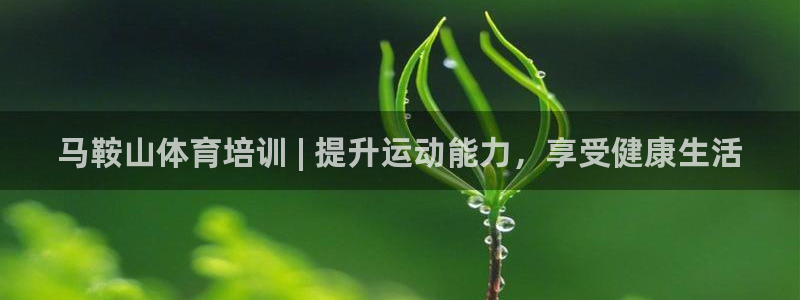 富联娱乐登录注册入口官网网址是多少：马鞍山体育培训 
