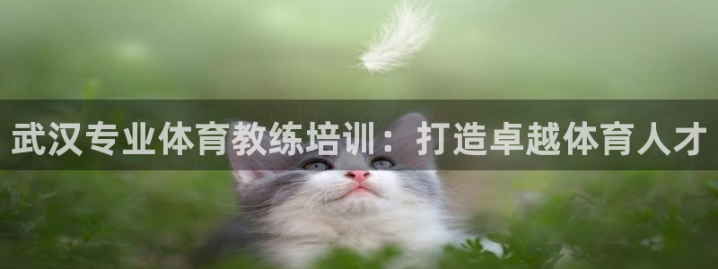 富联平台登录网址：武汉专业体育教练培训：打造卓越体育