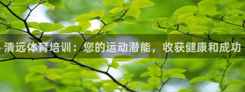 富联平台安装app：清远体育培训：您的运动潜能，收获