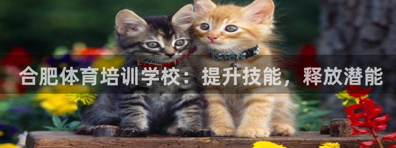富联娱乐客户端app下载服务器失败怎么回事： 合肥体