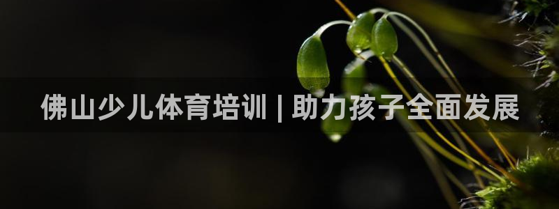 富联官方网站入口查询网址：佛山少儿体育培训 | 助力