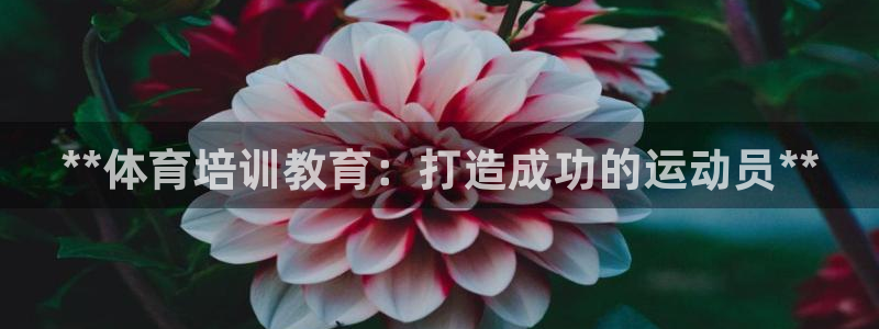 富联娱乐嗯 5O6917 富联：**体育培训教育：打