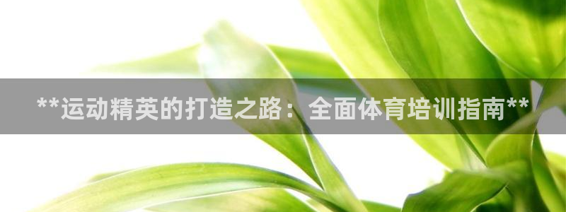 富联工坊：**运动精英的打造之路：全面体育培训指南*