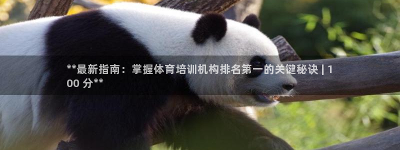 富联娱乐股东构成：**最新指南：掌握体育培训机构排名