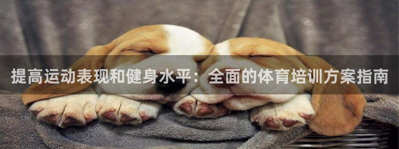 富联平台代理注册条件：提高运动表现和健身水平：全面的