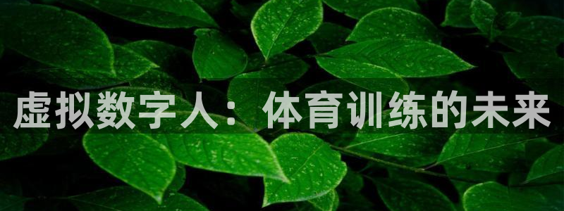 富联娱乐登录注册不了：虚拟数字人：体育训练的未来