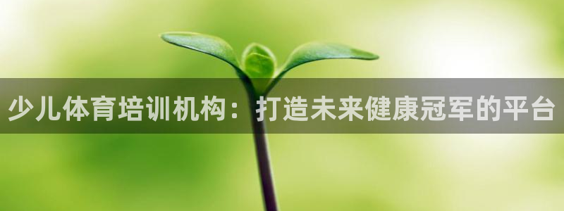 富联娱乐会员多少钱：少儿体育培训机构：打造未来健康冠