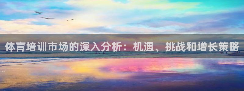 富联娱乐测速登录失败：体育培训市场的深入分析：机遇、