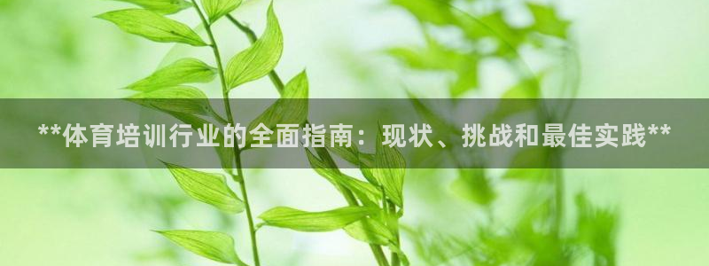 富联娱乐集7O777：**体育培训行业的全面指南：现